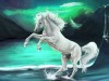 Картина по номерам с цветной схемой на холсте 30х40 Фэнтези (18 цветов)