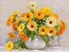 Картина по номерам 40х50 Бузин. Букет календулы (28 цветов) №2