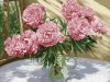 Картина по номерам 40х50 Бузин. На солнечной веранде (28 цветов)