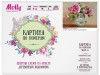 Картина по номерам с цветной схемой на холсте 30х40 Бузин. Настроение (24 цвета)