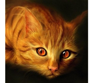 Картина мозаикой 30х30 РЫЖИЙ КОТ (квадрат) (14 цветов)