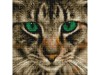 Картины мозаикой 30х30 БЕНГАЛЬСКАЯ КОШКА (15 цветов)