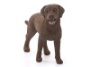 Фигурка Schleich Лабрадор, самка