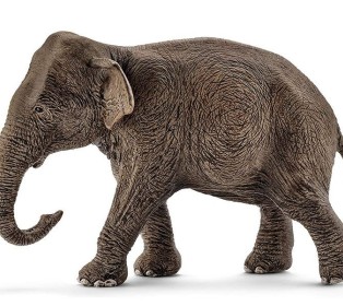 Фигурка Schleich Азиатский слон, самка