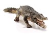Фигурка Schleich Аллигатор