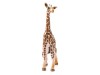 Фигурка Schleich Детеныш жирафа