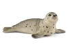 Фигурка Schleich Детеныш тюленя