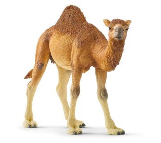 Фигурка Schleich Одногорбый верблюд