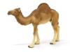 Фигурка Schleich Одногорбый верблюд