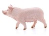 Фигурка Schleich Свинья