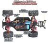 Радиоуправляемый монстр Remo Hobby Dinosaurs Master Brushless (красный) 4WD 2.4G 1/8 RTR