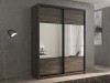 Шкаф-купе 2-х дверный Кааппи 6 Орех Тьеполло 120х45х230 см